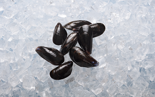 A photo of Nova Scotia mussels displayed on ice.